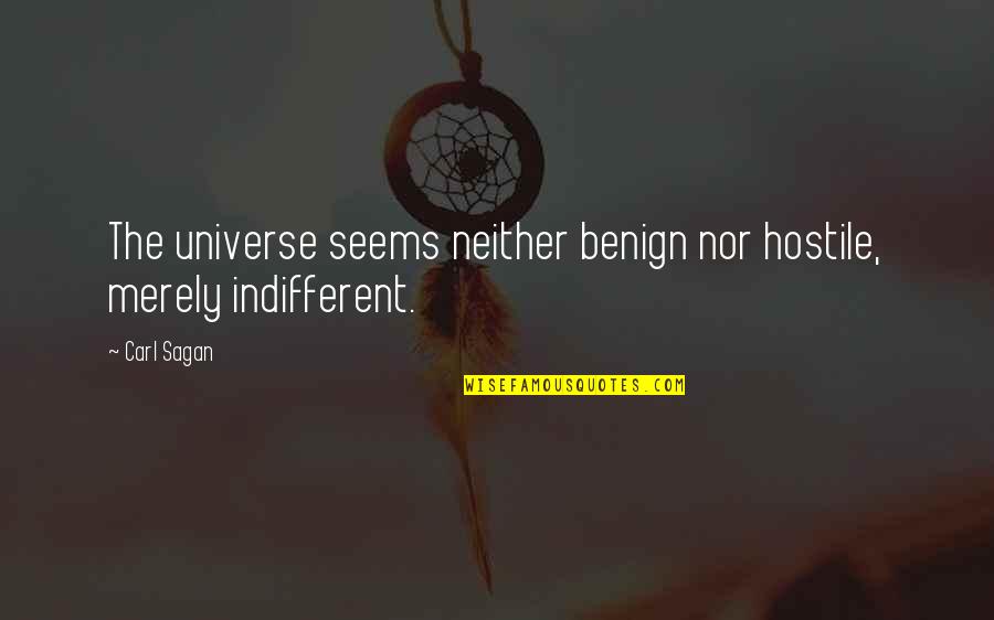 Carl Sagan Quotes By Carl Sagan: The universe seems neither benign nor hostile, merely
