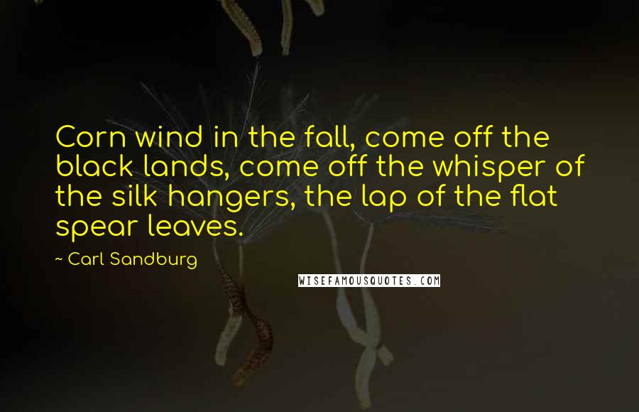 Carl Sandburg quotes: Corn wind in the fall, come off the black lands, come off the whisper of the silk hangers, the lap of the flat spear leaves. Carl Sandburg quotes: Corn wind in the fall, come off the black lands, come off the whisper of the silk hangers, the lap of the flat spear leaves.