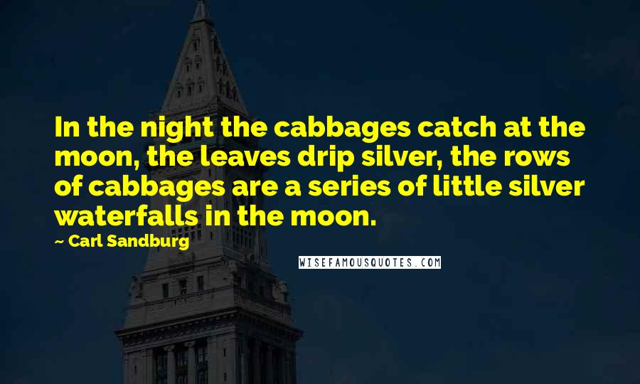 Carl Sandburg quotes: In the night the cabbages catch at the moon, the leaves drip silver, the rows of cabbages are a series of little silver waterfalls in the moon. Carl Sandburg quotes: In the night the cabbages catch at the moon, the leaves drip silver, the rows of cabbages are a series of little silver waterfalls in the moon.