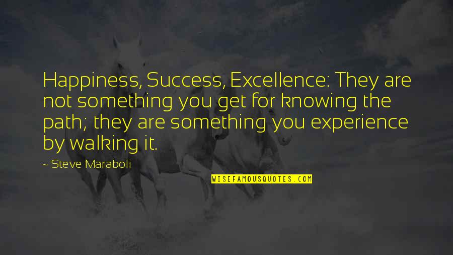 Carl Sundberg Aba Quotes By Steve Maraboli: Happiness, Success, Excellence: They are not something you