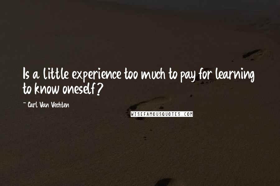 Carl Van Vechten quotes: Is a little experience too much to pay for learning to know oneself?