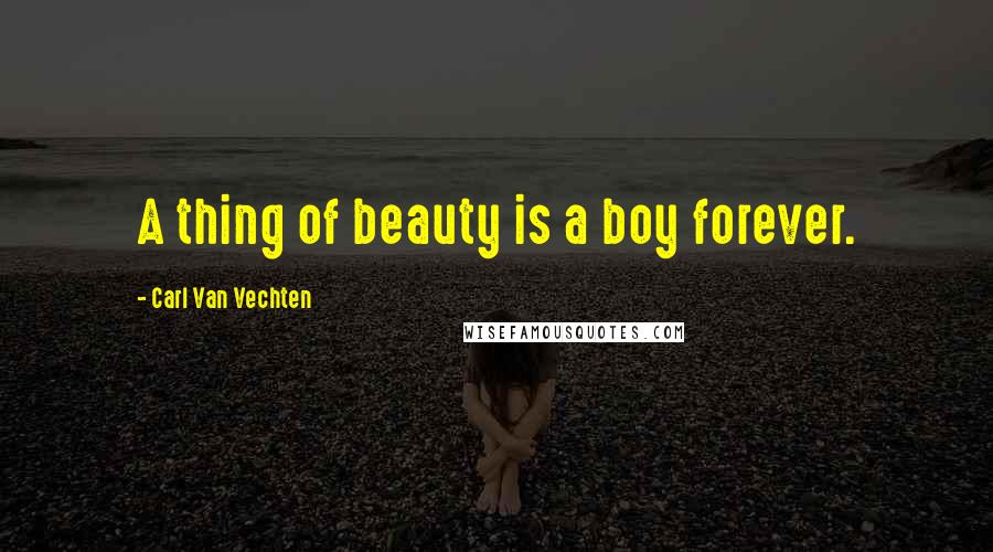 Carl Van Vechten quotes: A thing of beauty is a boy forever.