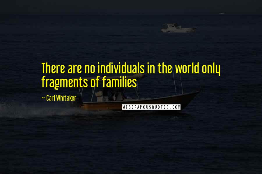 Carl Whitaker quotes: There are no individuals in the world only fragments of families