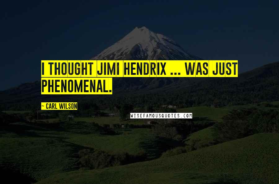 Carl Wilson quotes: I thought Jimi Hendrix ... was just phenomenal.