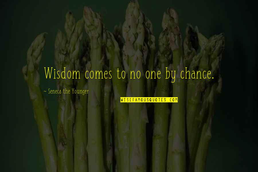 Carla Jo Masterson Quotes By Seneca The Younger: Wisdom comes to no one by chance.