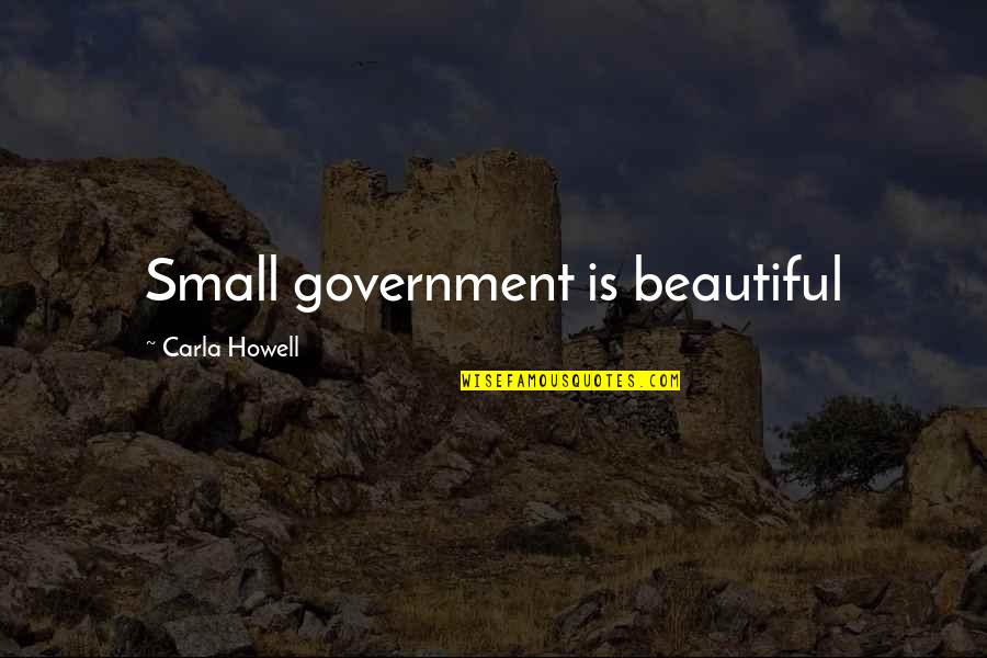 Carla Quotes By Carla Howell: Small government is beautiful