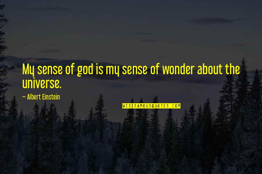 Carletta Restaurant Quotes By Albert Einstein: My sense of god is my sense of