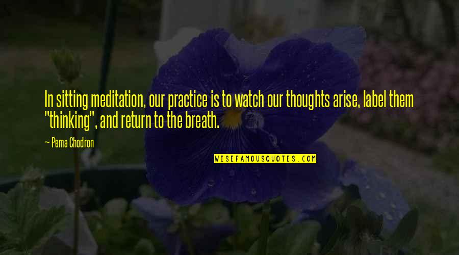 Carlin Whisler Quotes By Pema Chodron: In sitting meditation, our practice is to watch