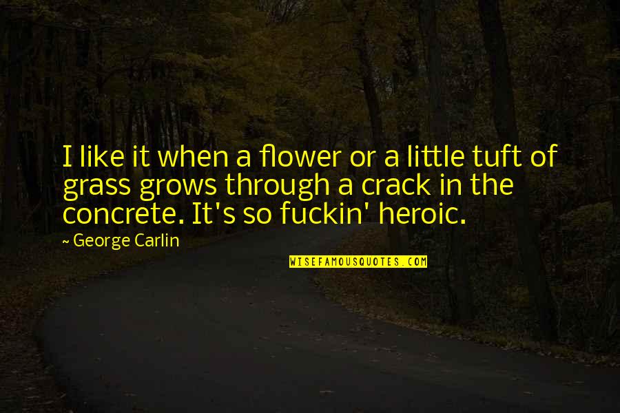 Carlin's Quotes By George Carlin: I like it when a flower or a