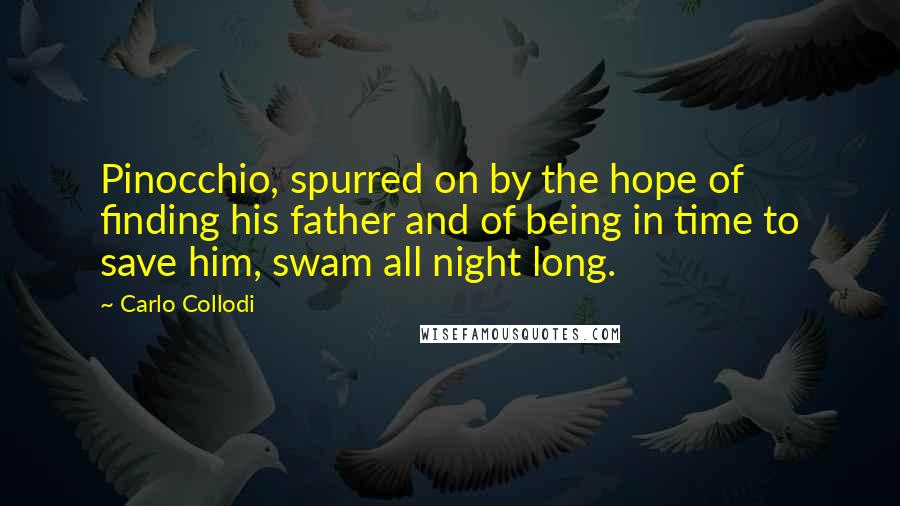 Carlo Collodi quotes: Pinocchio, spurred on by the hope of finding his father and of being in time to save him, swam all night long.