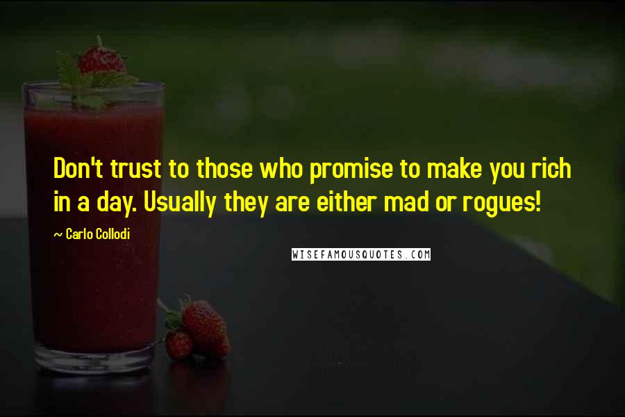 Carlo Collodi quotes: Don't trust to those who promise to make you rich in a day. Usually they are either mad or rogues!