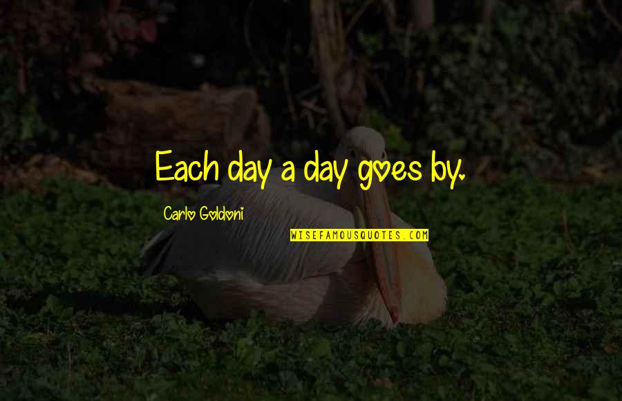 Carlo Quotes By Carlo Goldoni: Each day a day goes by.