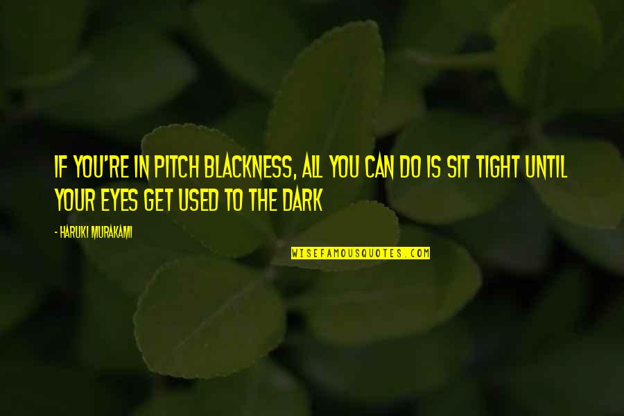 Carlo Scarpa Famous Quotes By Haruki Murakami: If you're in pitch blackness, all you can