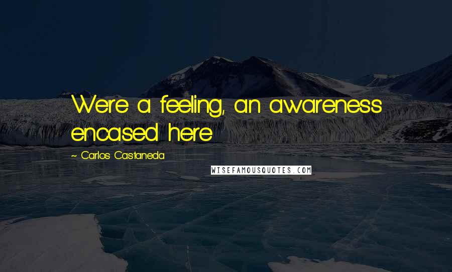 Carlos Castaneda quotes: We're a feeling, an awareness encased here