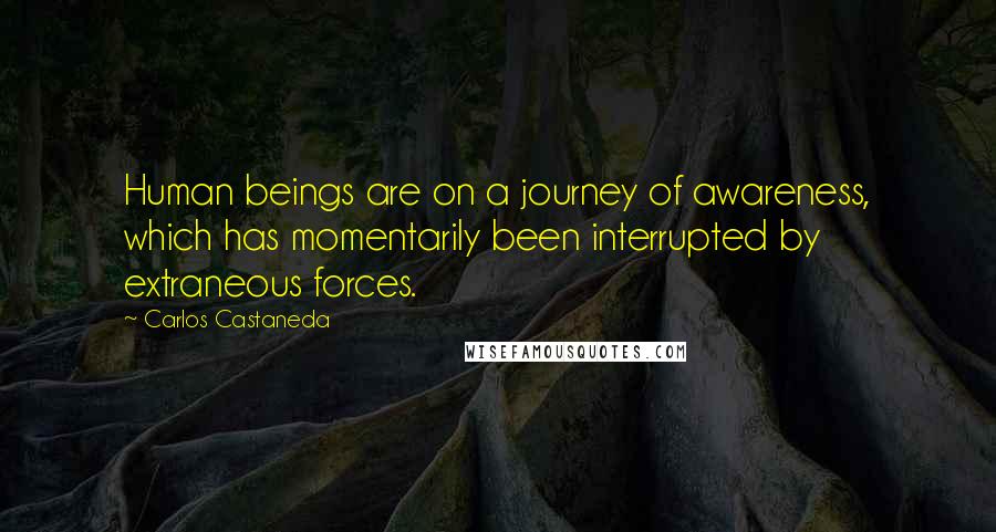 Carlos Castaneda quotes: Human beings are on a journey of awareness, which has momentarily been interrupted by extraneous forces.