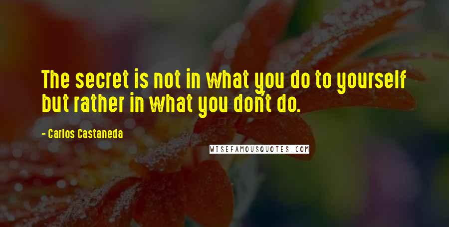 Carlos Castaneda quotes: The secret is not in what you do to yourself but rather in what you don't do.