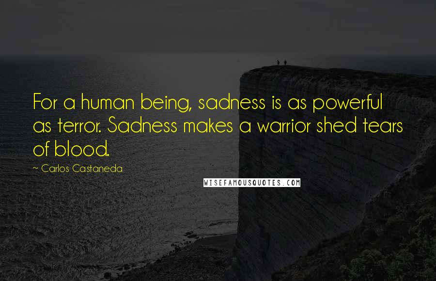 Carlos Castaneda quotes: For a human being, sadness is as powerful as terror. Sadness makes a warrior shed tears of blood.