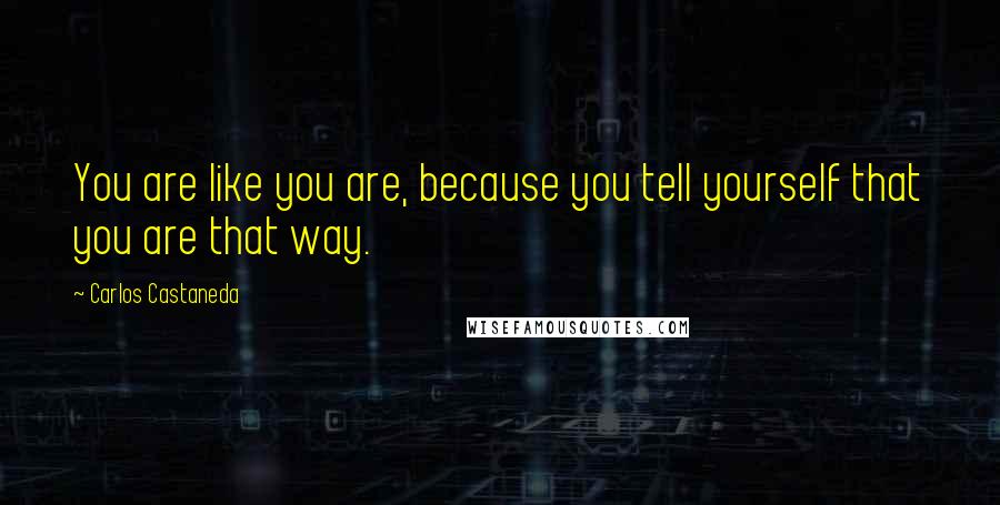 Carlos Castaneda quotes: You are like you are, because you tell yourself that you are that way.