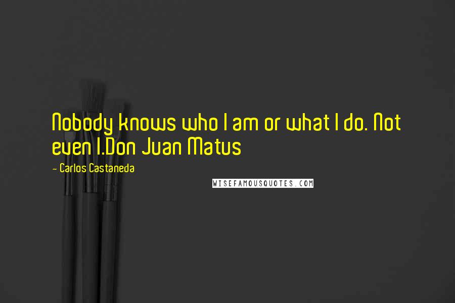 Carlos Castaneda quotes: Nobody knows who I am or what I do. Not even I.Don Juan Matus