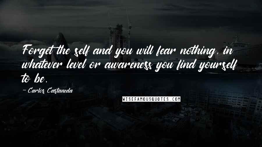 Carlos Castaneda quotes: Forget the self and you will fear nothing, in whatever level or awareness you find yourself to be.