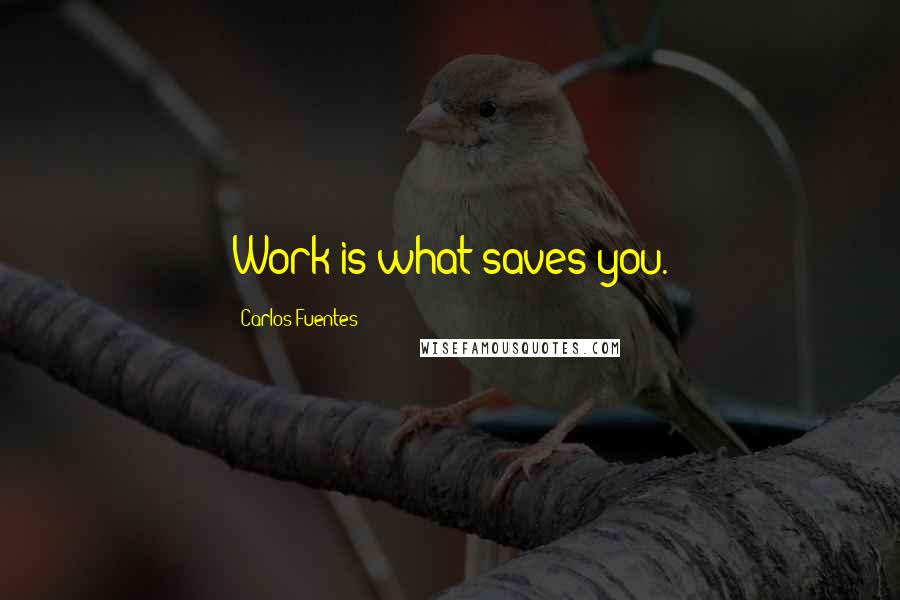 Carlos Fuentes quotes: Work is what saves you.