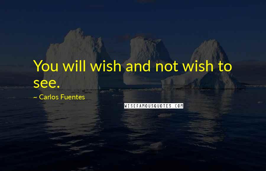 Carlos Fuentes quotes: You will wish and not wish to see.