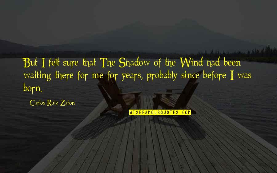 Carlos Zafon Quotes By Carlos Ruiz Zafon: But I felt sure that The Shadow of