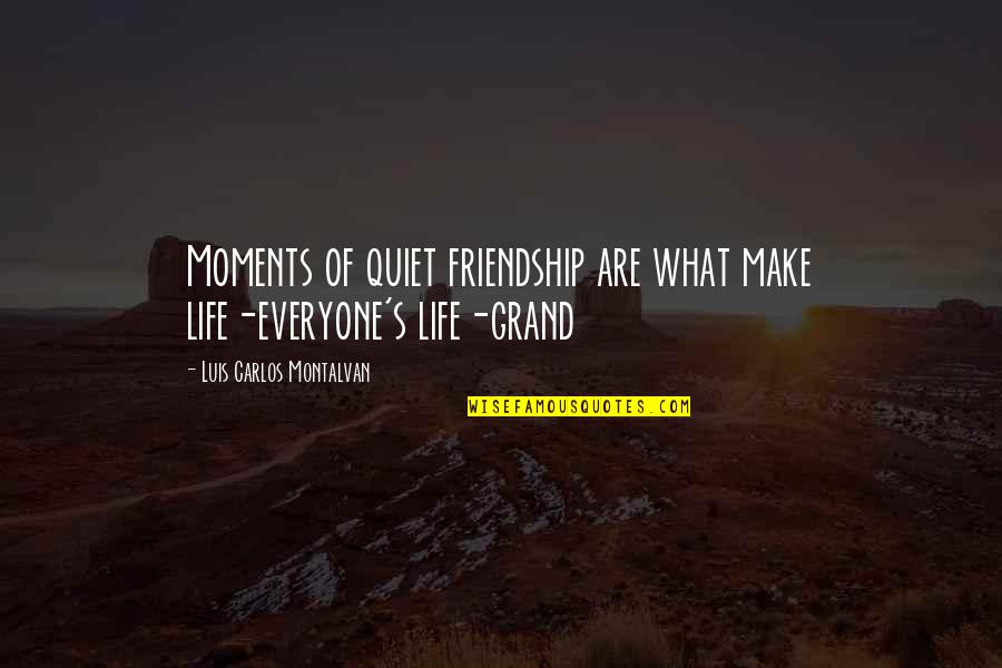 Carlos's Quotes By Luis Carlos Montalvan: Moments of quiet friendship are what make life-everyone's