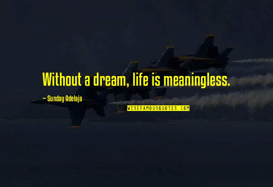 Carlough Wanamaker Quotes By Sunday Adelaja: Without a dream, life is meaningless.
