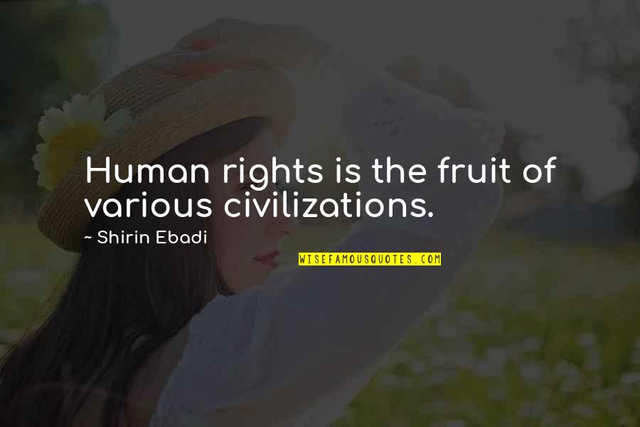 Carlsberg Company Quotes By Shirin Ebadi: Human rights is the fruit of various civilizations.