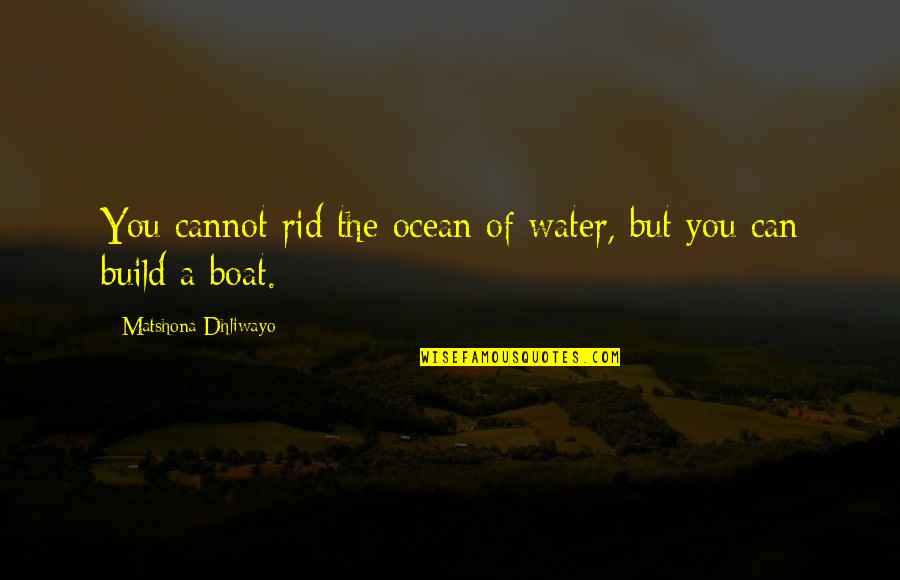 Carlton Banks Quotes By Matshona Dhliwayo: You cannot rid the ocean of water, but