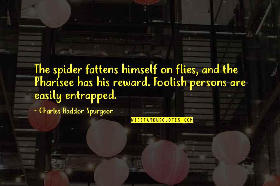 Carlton Blanchard Quotes By Charles Haddon Spurgeon: The spider fattens himself on flies, and the