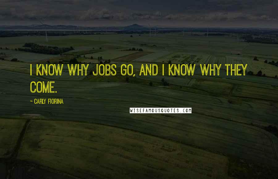 Carly Fiorina quotes: I know why jobs go, and I know why they come.