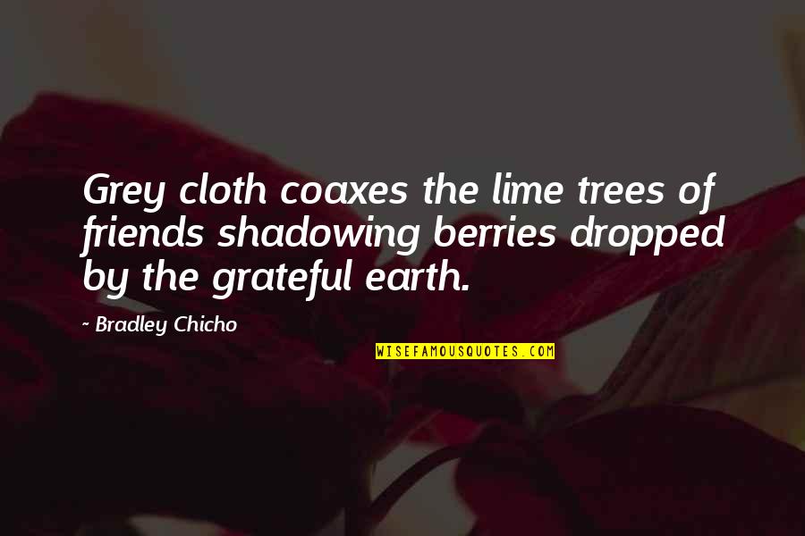 Carly Marie Quotes By Bradley Chicho: Grey cloth coaxes the lime trees of friends