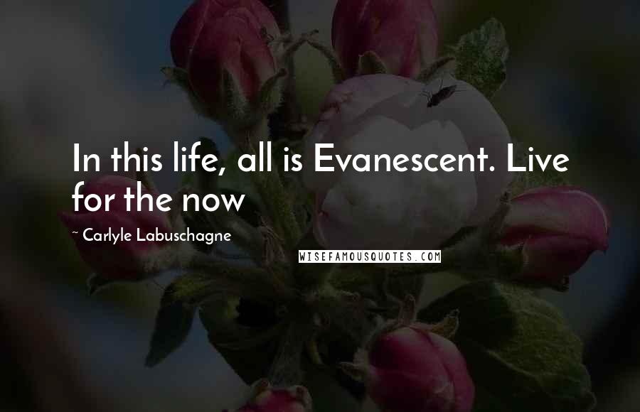 Carlyle Labuschagne quotes: In this life, all is Evanescent. Live for the now