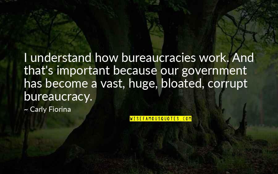 Carly's Quotes By Carly Fiorina: I understand how bureaucracies work. And that's important