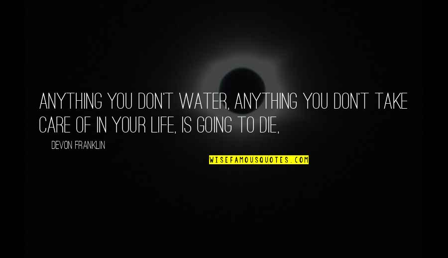 Carmen Basilio Quotes By DeVon Franklin: Anything you don't water, anything you don't take