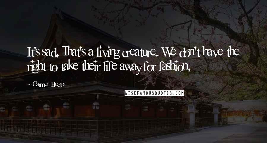 Carmen Electra quotes: It's sad. That's a living creature. We don't have the right to take their life away for fashion.