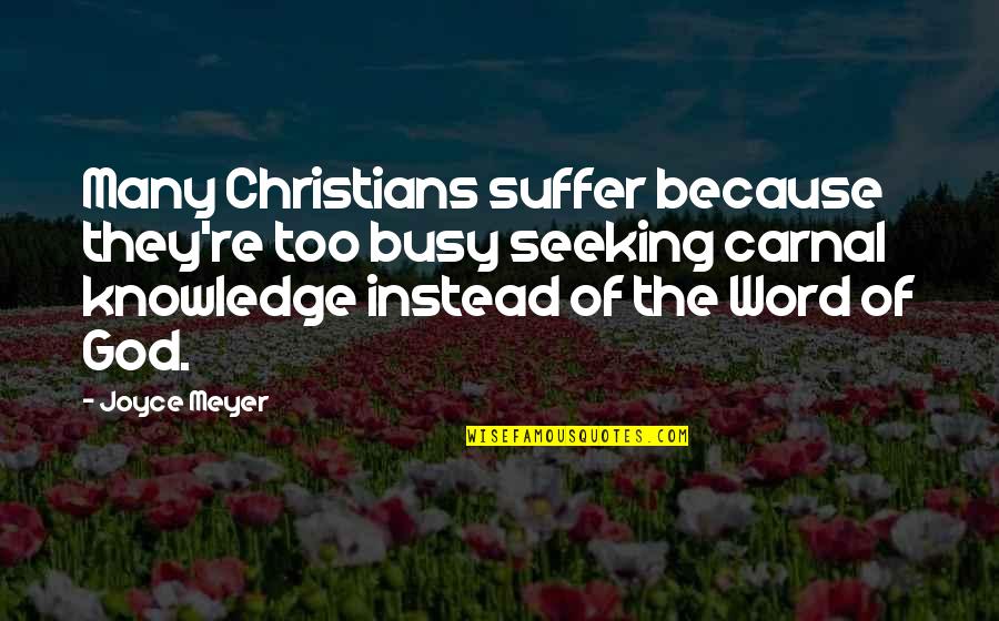 Carnal Knowledge Quotes By Joyce Meyer: Many Christians suffer because they're too busy seeking