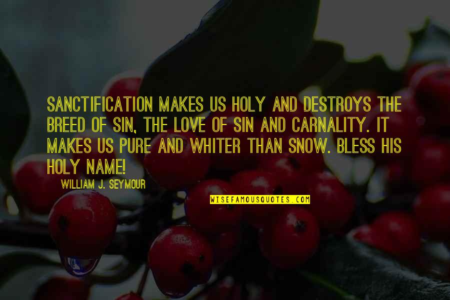 Carnality Quotes By William J. Seymour: Sanctification makes us holy and destroys the breed