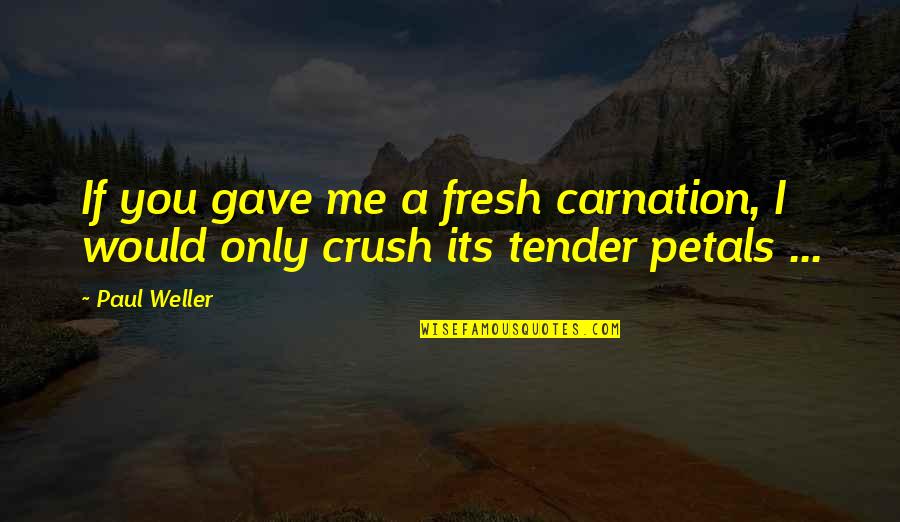 Carnations Quotes By Paul Weller: If you gave me a fresh carnation, I