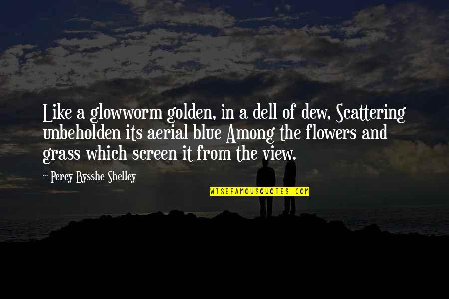 Carneau Quotes By Percy Bysshe Shelley: Like a glowworm golden, in a dell of