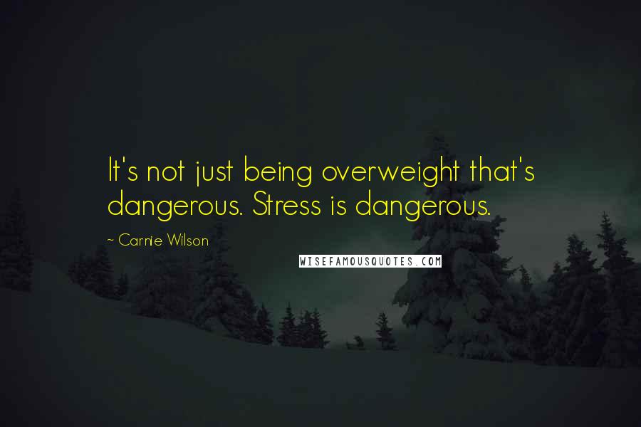 Carnie Wilson quotes: It's not just being overweight that's dangerous. Stress is dangerous.