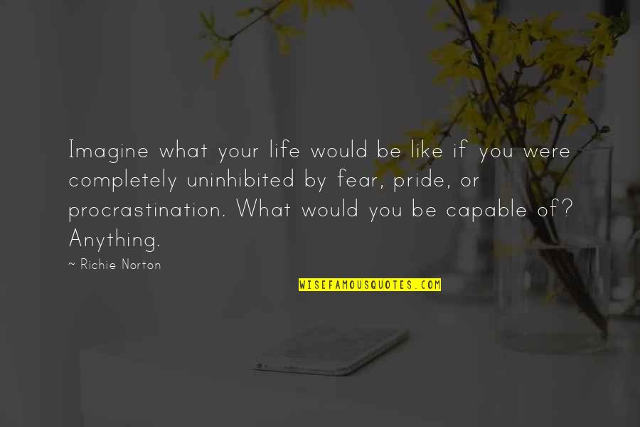 Carnistic Quotes By Richie Norton: Imagine what your life would be like if Carnistic Quotes By Richie Norton: Imagine what your life would be like if