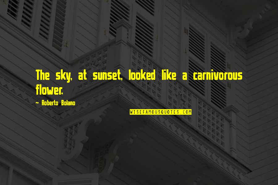 Carnivorous Quotes By Roberto Bolano: The sky, at sunset, looked like a carnivorous