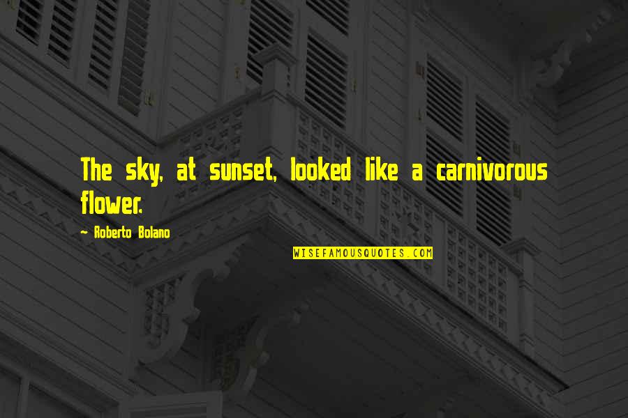 Carnivorous Quotes By Roberto Bolano: The sky, at sunset, looked like a carnivorous Carnivorous Quotes By Roberto Bolano: The sky, at sunset, looked like a carnivorous