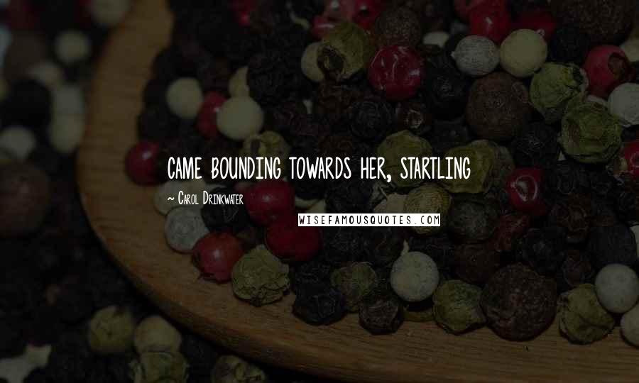 Carol Drinkwater quotes: came bounding towards her, startling