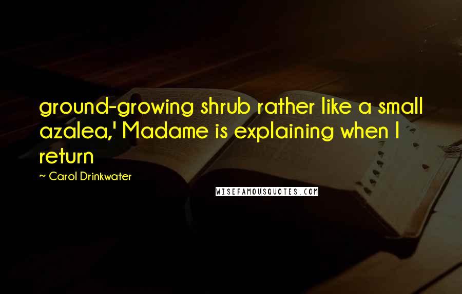 Carol Drinkwater quotes: ground-growing shrub rather like a small azalea,' Madame is explaining when I return