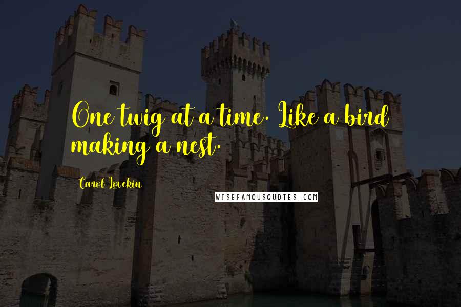 Carol Lovekin quotes: One twig at a time. Like a bird making a nest.