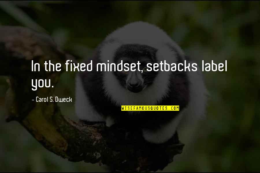 Carol Quotes By Carol S. Dweck: In the fixed mindset, setbacks label you.